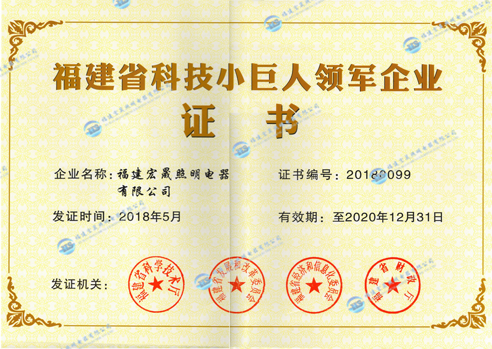 福建省科技小巨人領軍企業證書
